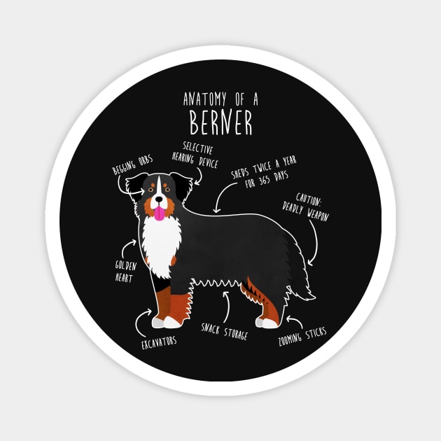 Bernese Mountain Dog Anatomy Magnet by Psitta